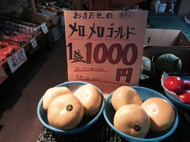 a0050302_1103640.jpg