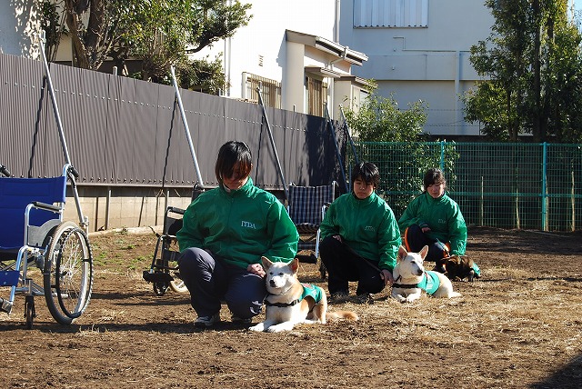 国際セラピードッグ協会訪問！福島被災犬保護施設完成！_d0050503_620276.jpg
