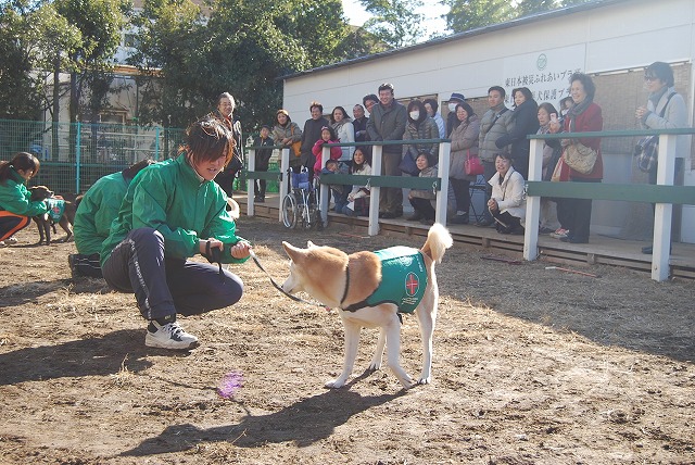 国際セラピードッグ協会訪問！福島被災犬保護施設完成！_d0050503_6203373.jpg