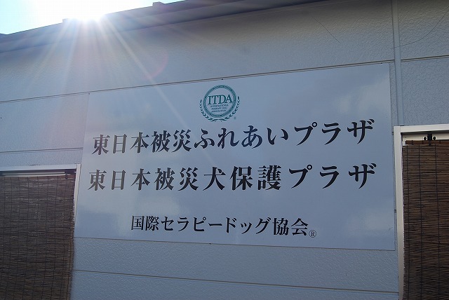 国際セラピードッグ協会訪問！福島被災犬保護施設完成！_d0050503_6204360.jpg