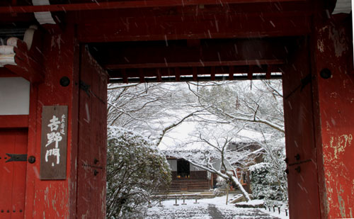 また雪が 鷹ヶ峰_e0048413_19463454.jpg