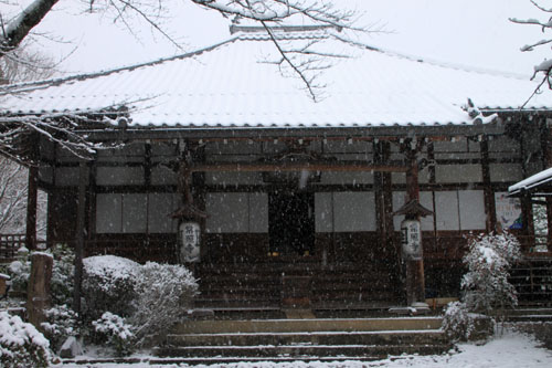 また雪が　鷹ヶ峰_e0048413_1952153.jpg