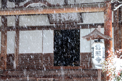 また雪が 鷹ヶ峰_e0048413_19525194.jpg