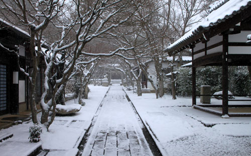 また雪が　鷹ヶ峰_e0048413_19533474.jpg