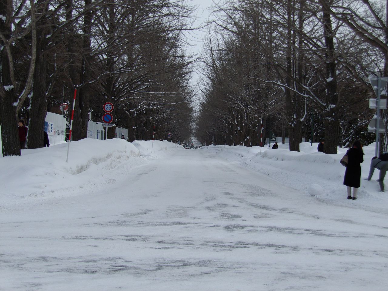 「丸腰」の市民はテロに屈してもいい_c0025115_1856990.jpg