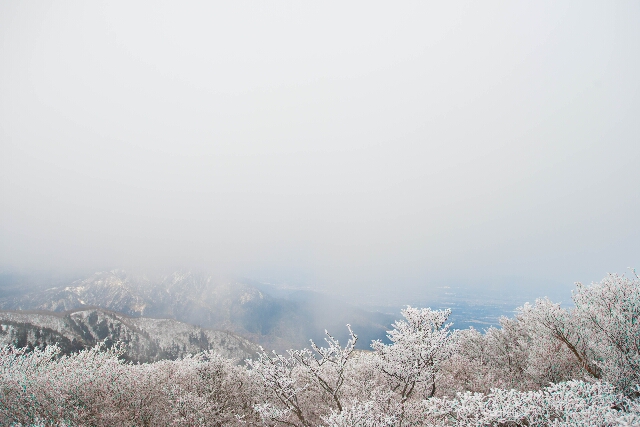 f0158043_2044431.jpg