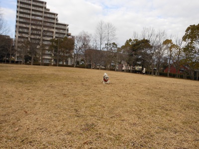 c0261346_23232739.jpg