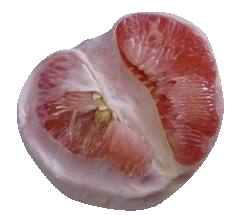 b0151748_15363446.png
