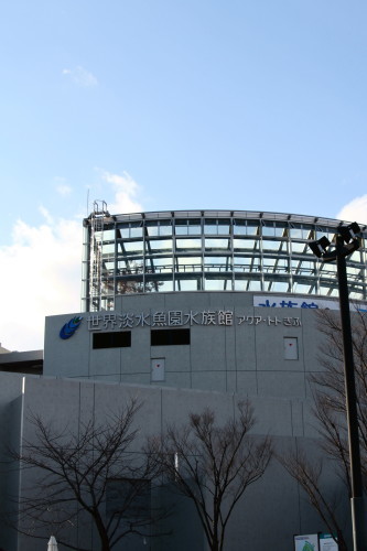 世界淡水魚園水族館　アクア・トトぎふ_b0264450_17490532.jpg