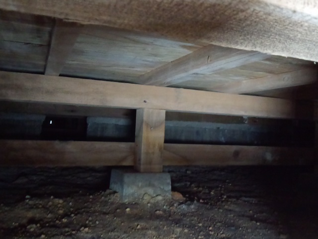 調査結果_f0115152_17395697.jpg