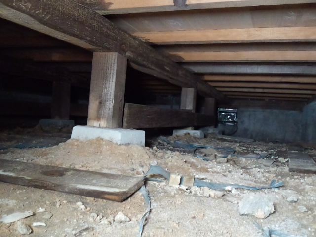調査結果_f0115152_17401186.jpg