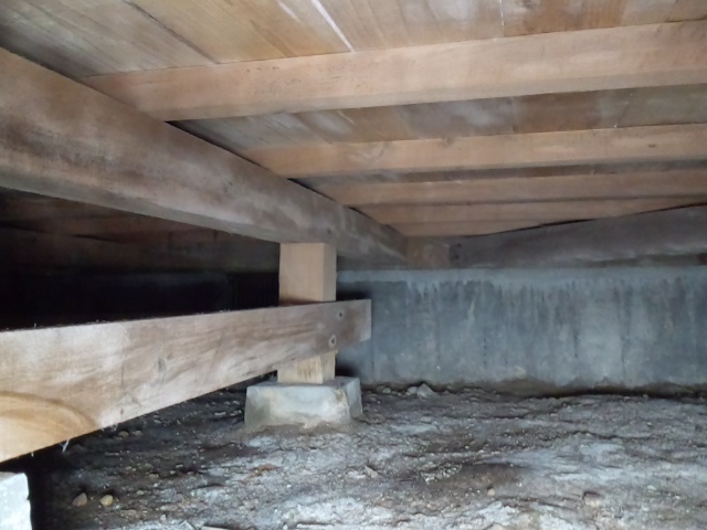 調査結果_f0115152_1740218.jpg