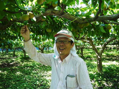 熊本梨　本藤果樹園　今年も梨が育つ最高のステージを作ります！お礼肥えから選定作業まで　その２_a0254656_1813880.jpg