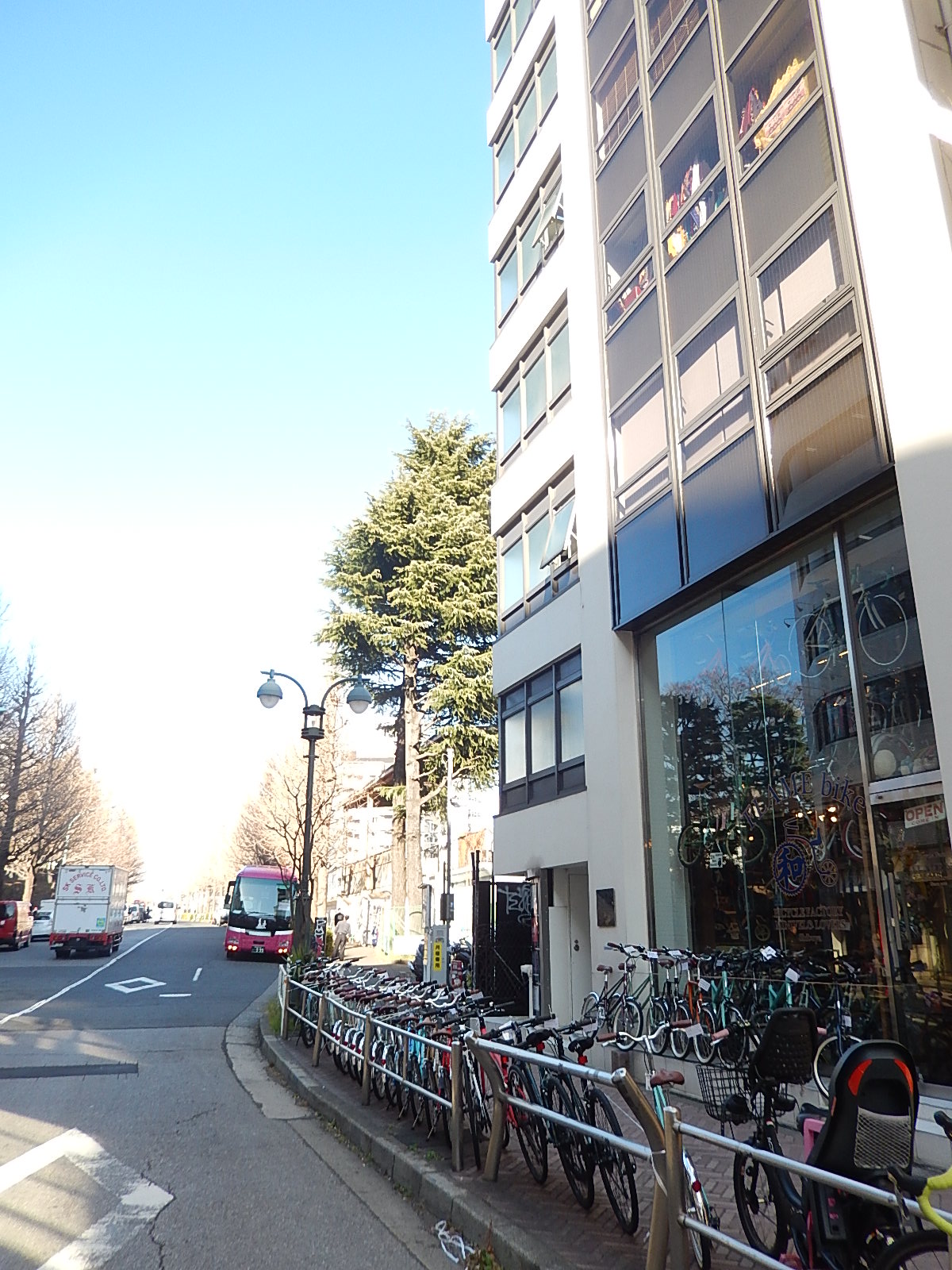 2月2日　渋谷　原宿　の自転車屋　FLAME bike前です_e0188759_1415288.jpg