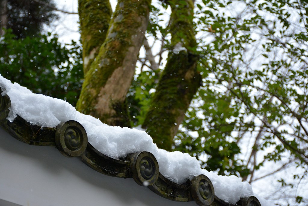 冬の高山寺（世界遺産・栂ノ尾三山）_d0090161_022293.jpg