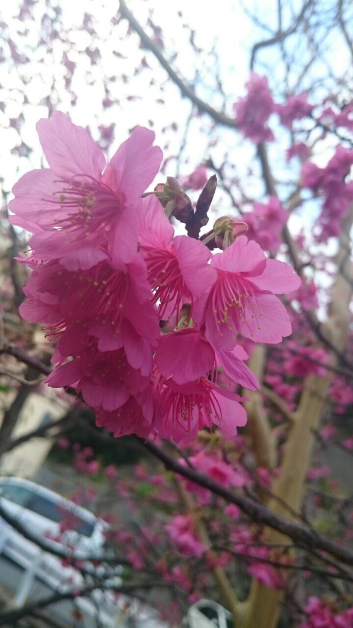毘沙門天さまとの出会い (2)_c0348065_00321062.jpg