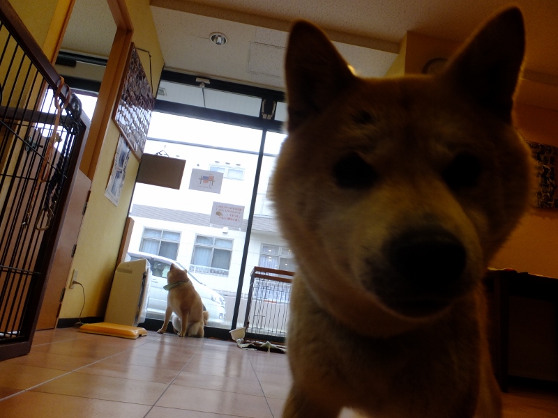 d0080269_1651863.jpg