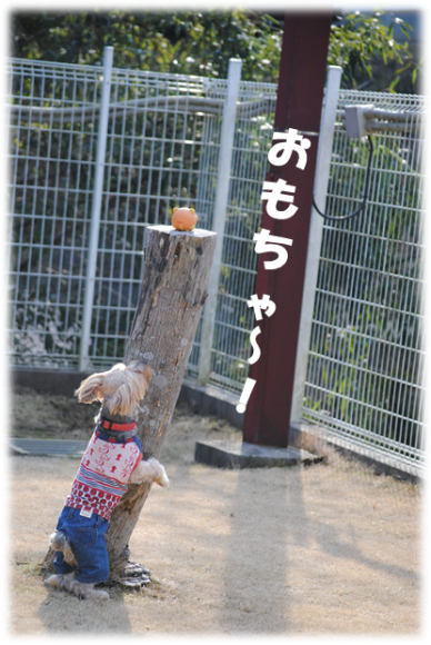 b0242873_23475566.png