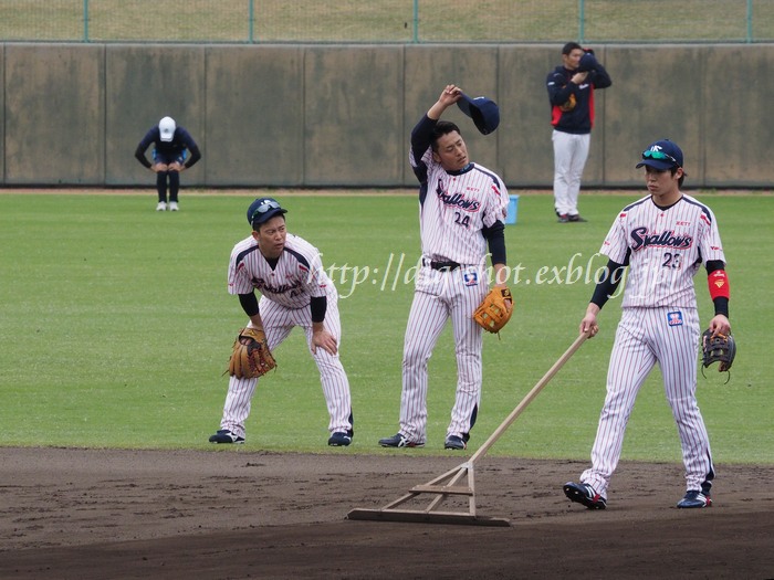 ヤクルトキャンプ、内野ノック動画2本とフォト(大引･山田･雄平･上田･荒木選手)_e0222575_1685168.jpg