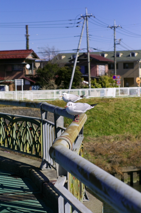 b0120979_1431424.jpg