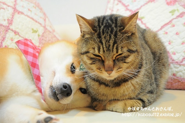 ぬくもり_a0126590_23364117.jpg
