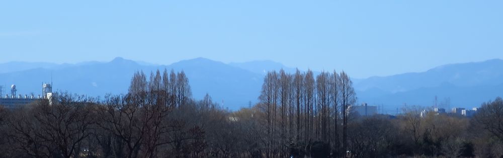 a0278092_17261184.jpg