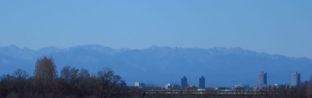 a0278092_1727191.jpg