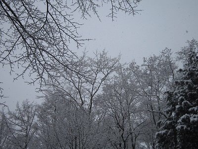 b0220002_20160694.jpg