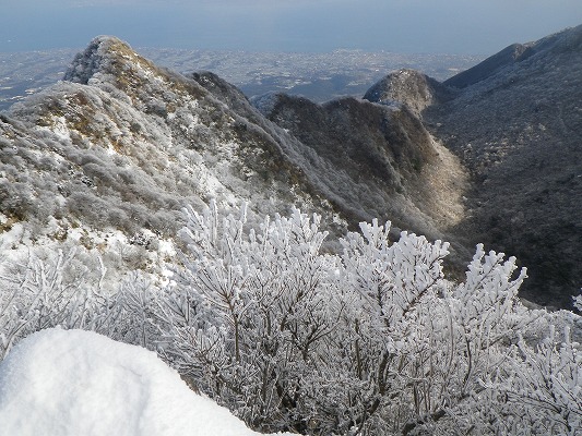 f0187402_2020019.jpg