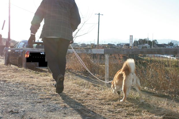 子犬と柴犬_f0242002_0521759.jpg