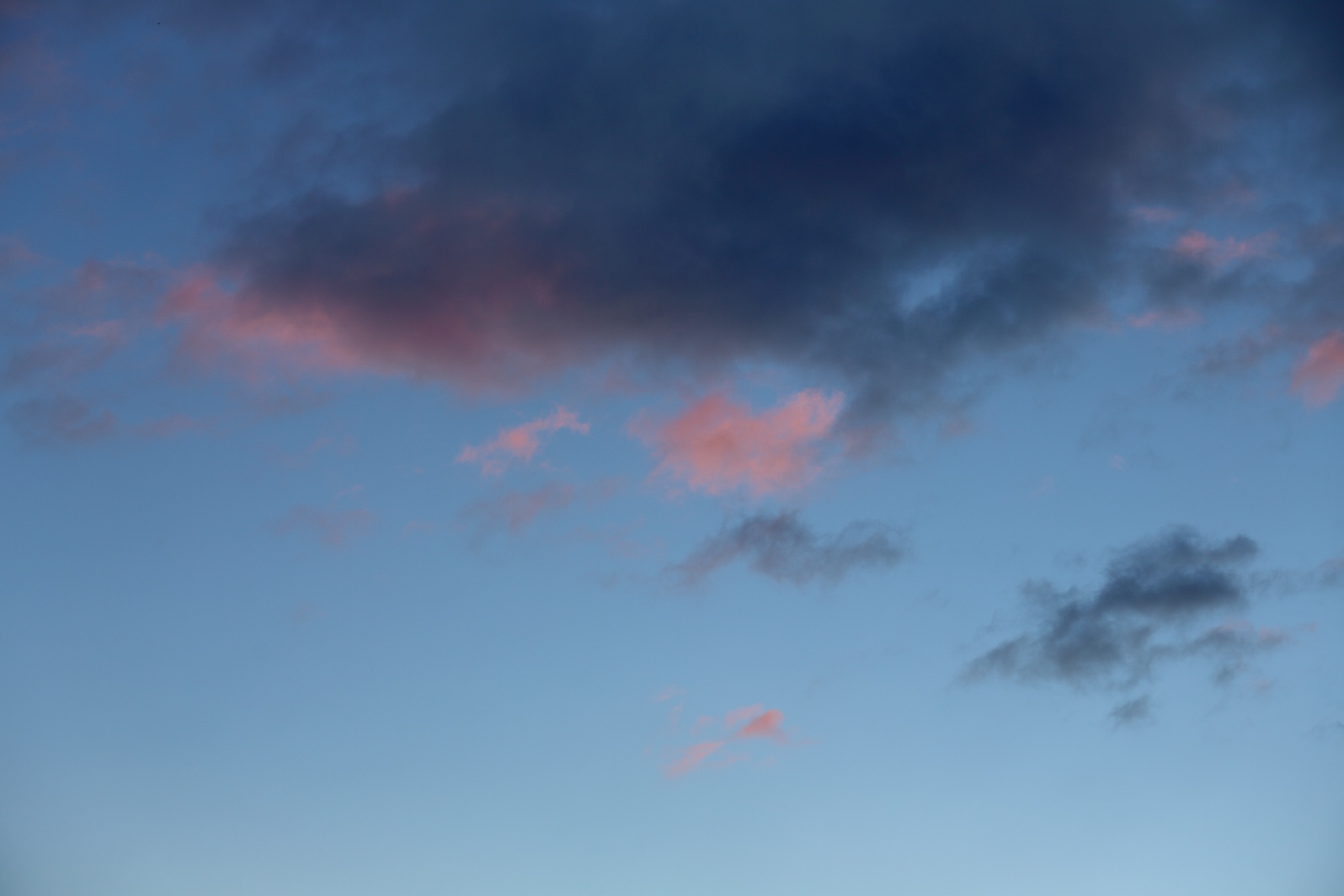 a0155104_2336480.jpg