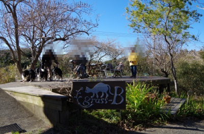 a0232619_1319031.png