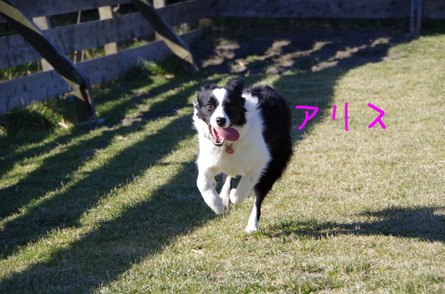 a0232619_15101071.png