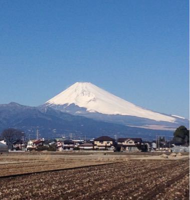 日本滞在記 2015年初春 その1_f0095325_813489.jpg
