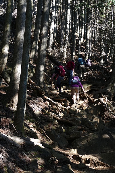 不思議な猫と出会った大山登山記　その５_c0196928_20383549.jpg