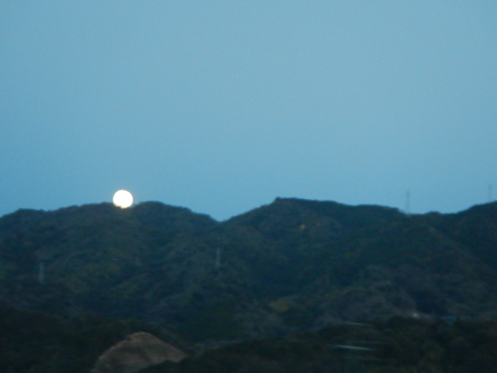 a0248230_22092880.jpg