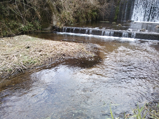 d0191640_1350296.jpg