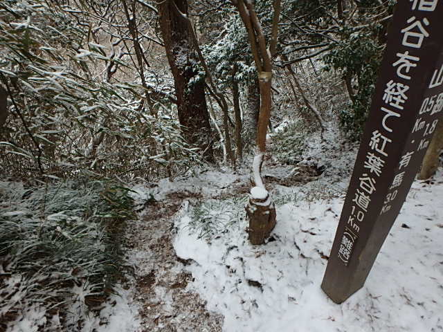 f0334143_20151492.jpg