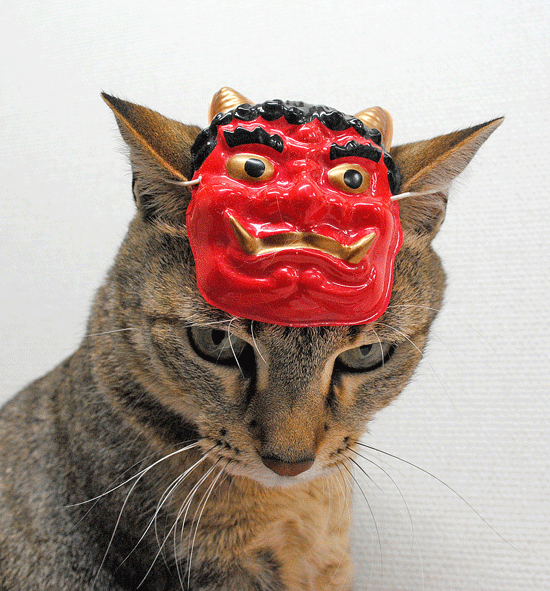 2月3日 節分には・・・2015_a0001354_2252533.gif