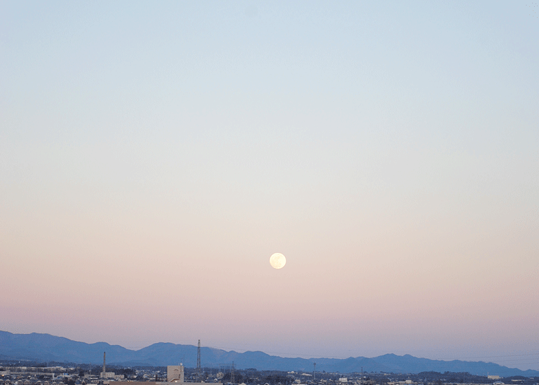 2月3日 節分には・・・2015_a0001354_2361613.gif