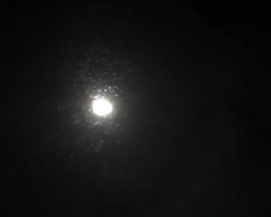 d0050155_1001916.jpg