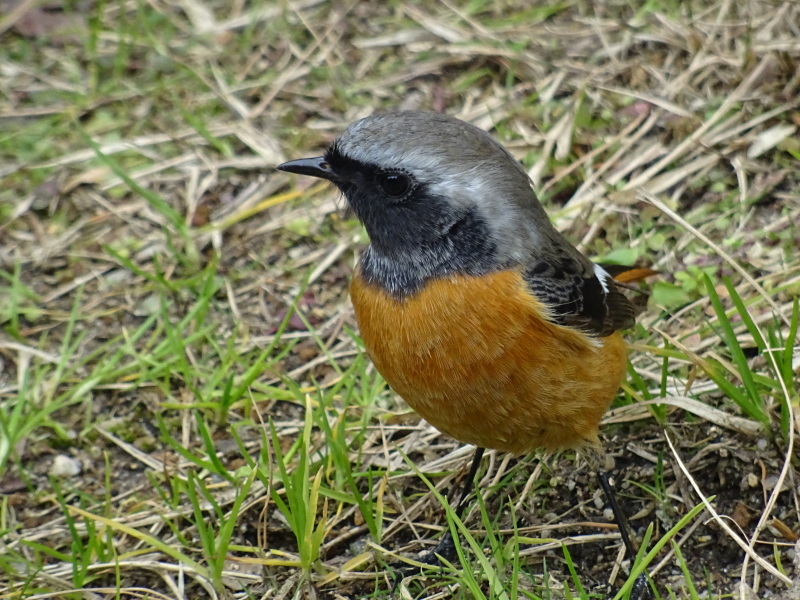c0108460_18274654.jpg