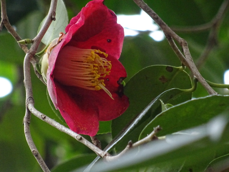 c0108460_18274881.jpg