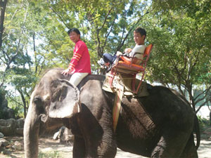 タイへ_e0251265_17431151.jpg