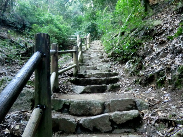 No375 初登りは広島・宮島の二つの三角点弥山_b0185573_10541264.jpg