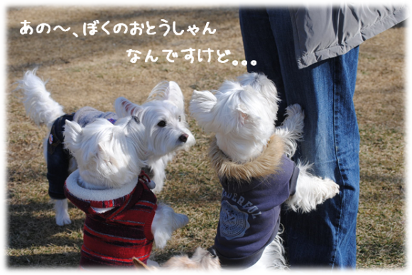 b0242873_00241705.png