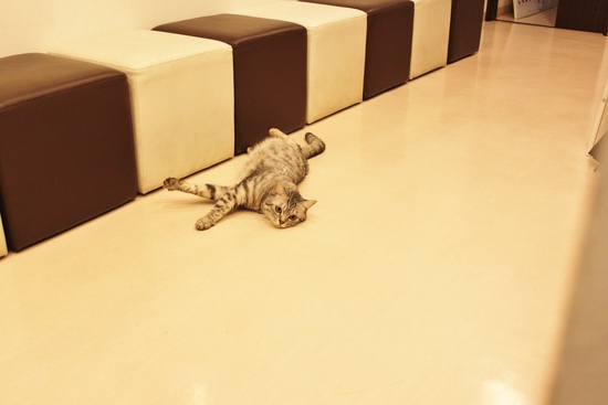 ぼるとと私の事情。_c0245679_19513110.jpg