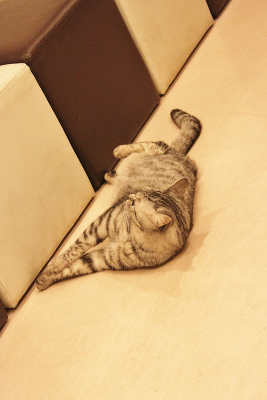 ぼるとと私の事情。_c0245679_19514229.jpg