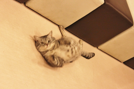 ぼるとと私の事情。_c0245679_1952332.jpg