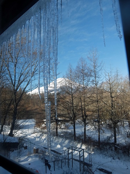 f0328483_8473792.jpg